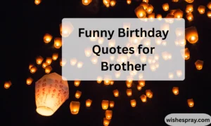 Funny Birthday Quotes for Brother