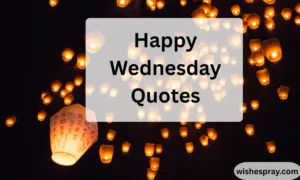 Happy Wednesday Quotes