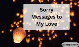 Sorry Messages to My Love
