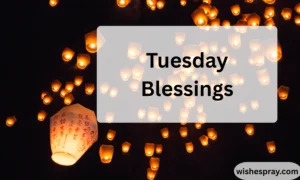 Tuesday Blessings