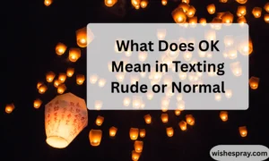 What Does OK Mean in Texting Rude or Normal